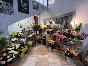 L'automne est l, à cette occasion votre boutique vous propose un nouvel agencement