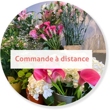 Commande à distance img_part_1