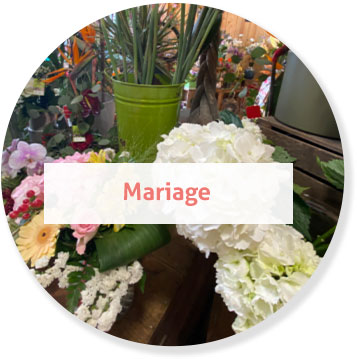 Mariage img_part_3